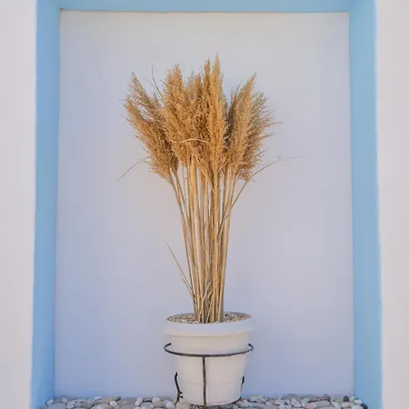 Nikola's House Apartament