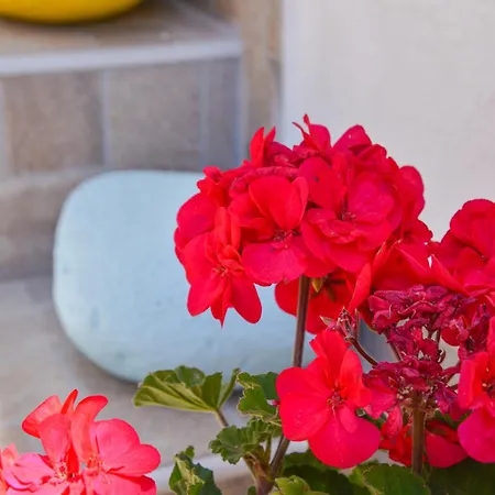 Apartament Nikola's House Adamantas (Milos)