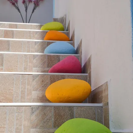 Nikola's House