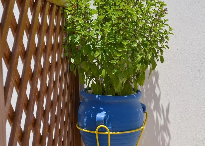 Nikola's House Lejlighed