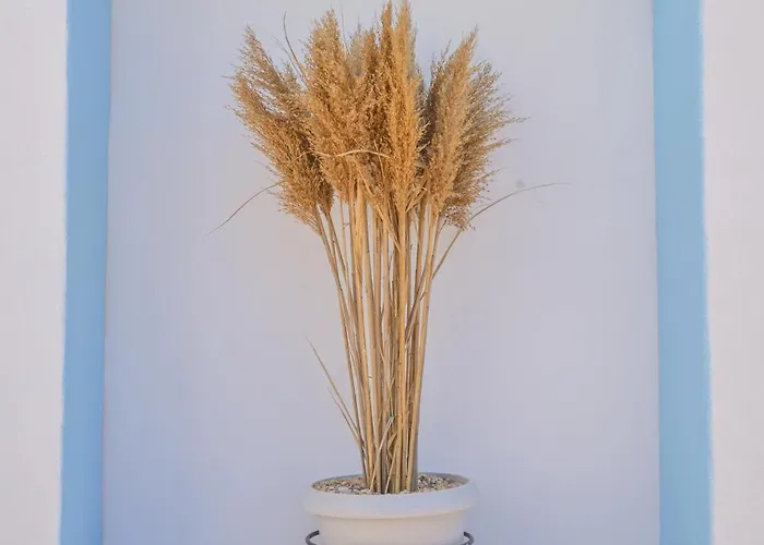 Nikola's House Apartment