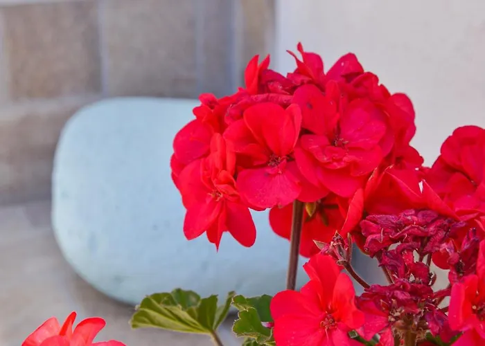 Lejlighed Nikola's House Adamantas